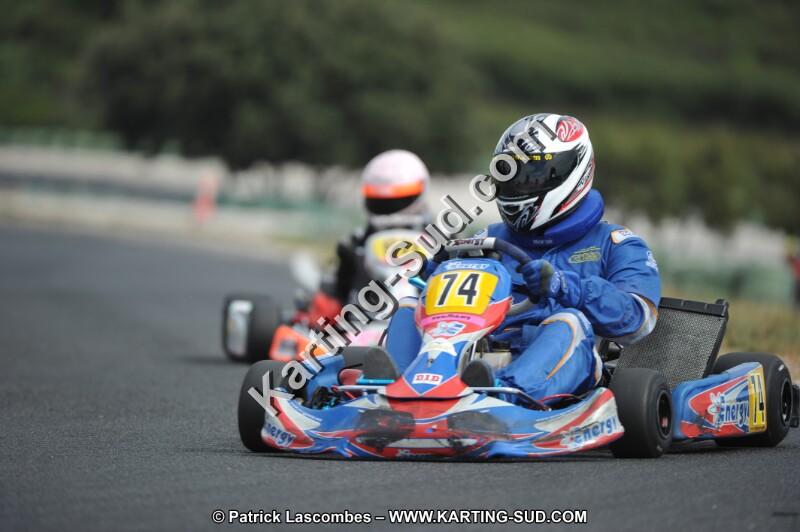 DSC (3462).JPG